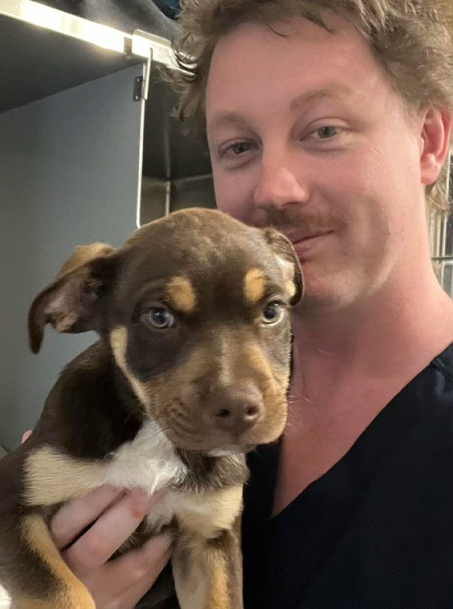 The Vets Sale - Meet our Team - Darcy