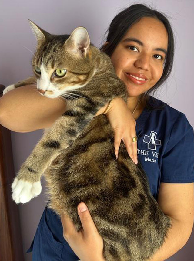 The Vets Sale - Meet our Team - Marie Leong Tim The Vets Sale - Meet our Team - Marie Leong Tim