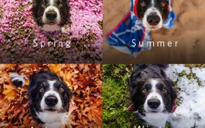 Tick Prevention That Lasts